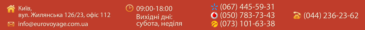 shapka_top.png